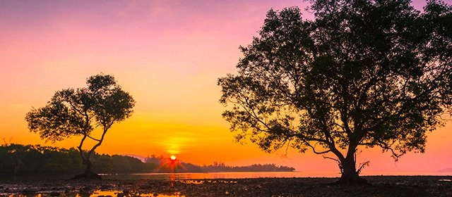 Horóscopo para Sábado 22 Noviembre 2025