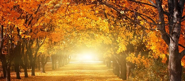 Horóscopo para  Lunes 24 Noviembre 2025