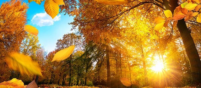 Horóscopo para Miércoles 26 Noviembre 2025