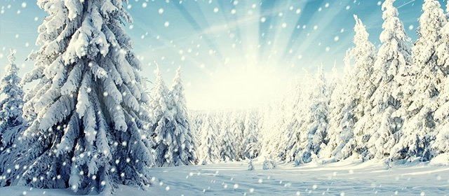 Horóscopo para Sábado 6 Diciembre 2025