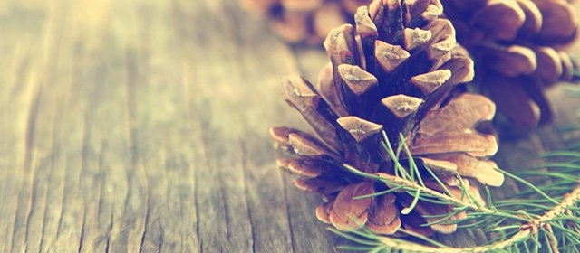 Horóscopo para Domingo 7 Diciembre 2025