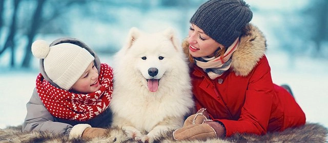 Horóscopo para Domingo 14 Diciembre 2025