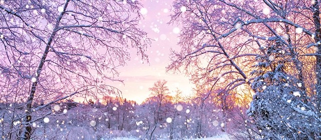 Horóscopo para Lunes 22 Diciembre 2025