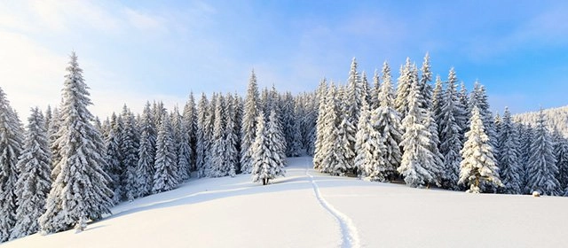 Horóscopo para  Martes 30 Diciembre 2025