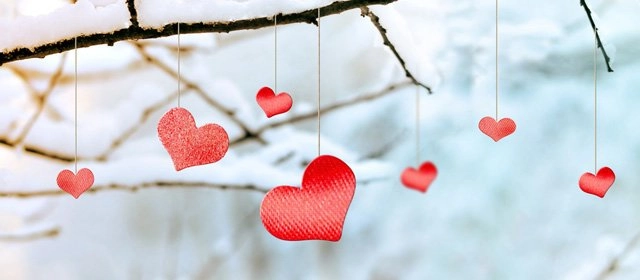 Amor y afinidades entre dos Tauro