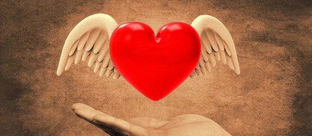 Afinidad Amorosa entre Cáncer y Virgo