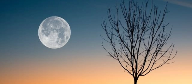 Las 12 Lunas Nativas Americanas