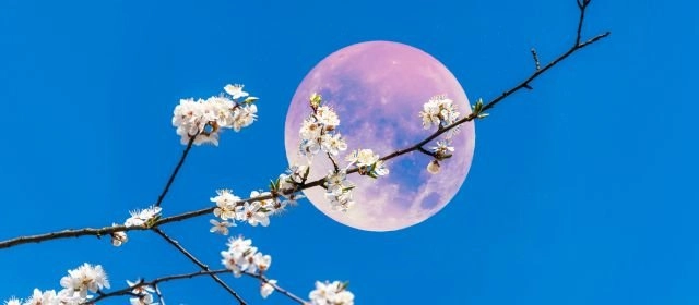 Calendario de la luna llena en 2025