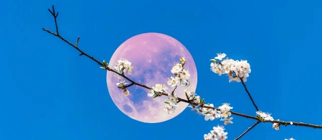 Calendario de la luna llena en 2026