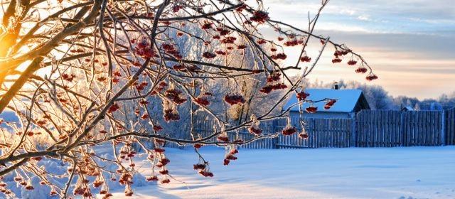 Astrología del Invierno 2026: fuerza, renovación y ambiciones