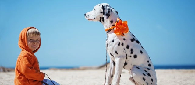 ¡Gratis, el perfil de tu pequeño Géminis!