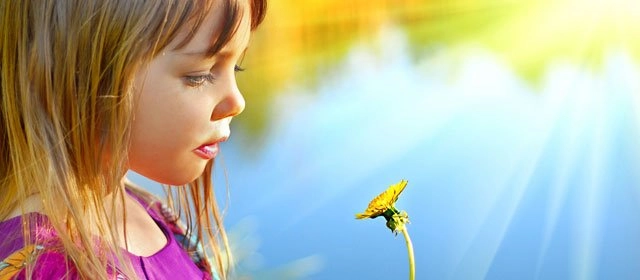 ¡Conoce más sobre tu pequeño Leo !
