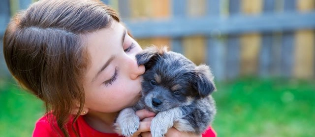 ¡Conoce más sobre tu pequeño Escorpio!