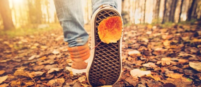 12 consejos para pasar el otoño