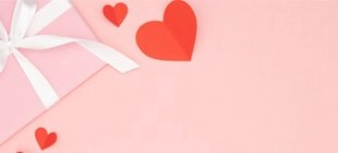 Compatibilidad entre Leo y Sagitario