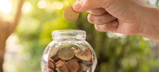 El dinero: ¿Eres una cigarra o una hormiga?