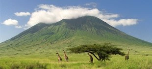 ¿Cuál es su signo africano?