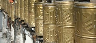 ¿Cuál es mi signo tibetano?