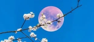 Calendario de la luna llena en 2025