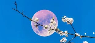 Calendario de la luna llena en 2026
