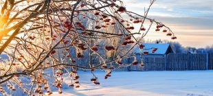 El invierno 2026 llega con su fuerza tranquila
