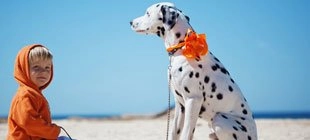 ¡Gratis, el perfil de tu pequeño Géminis!