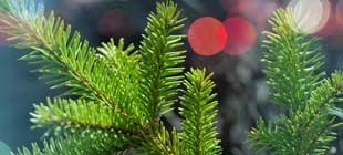 12 consejos para preparar la Navidad