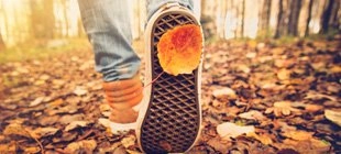12 Consejos para superar el otoño 